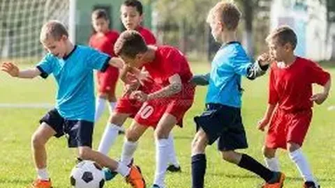 湖南体彩网 资讯 113543 jb3