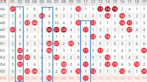 大乐透26024期专家推荐：软件预测前区20码及开奖分析